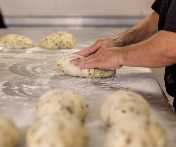 25 augustus 2016 meesterbakkers 8660